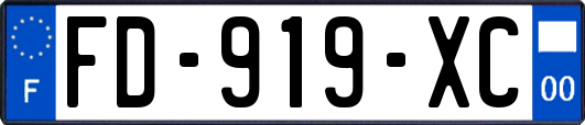FD-919-XC
