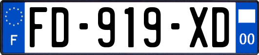 FD-919-XD