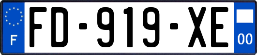 FD-919-XE