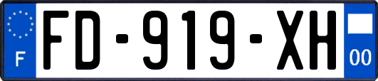 FD-919-XH