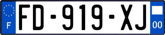 FD-919-XJ