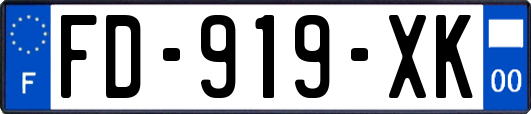 FD-919-XK