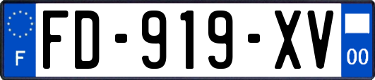 FD-919-XV