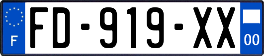 FD-919-XX