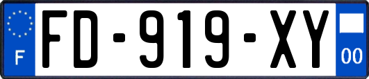 FD-919-XY