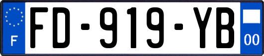 FD-919-YB