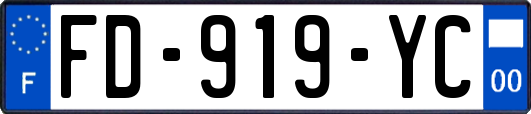 FD-919-YC