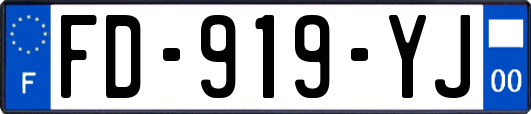 FD-919-YJ