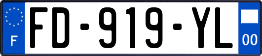 FD-919-YL
