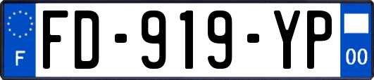 FD-919-YP