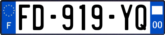 FD-919-YQ