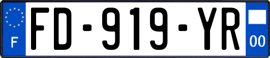 FD-919-YR