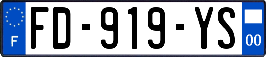 FD-919-YS