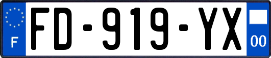 FD-919-YX