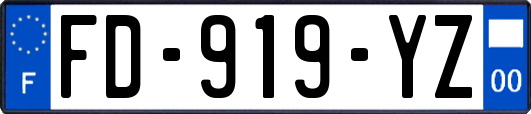 FD-919-YZ