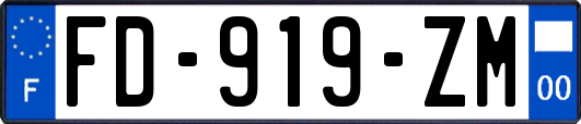 FD-919-ZM