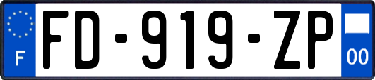 FD-919-ZP