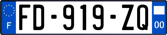 FD-919-ZQ