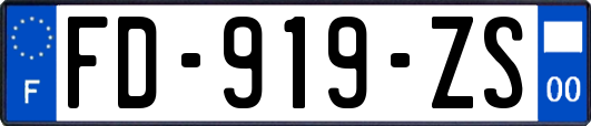 FD-919-ZS