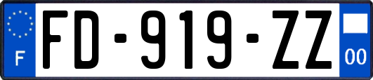FD-919-ZZ
