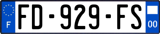FD-929-FS