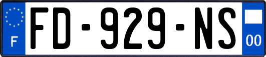FD-929-NS