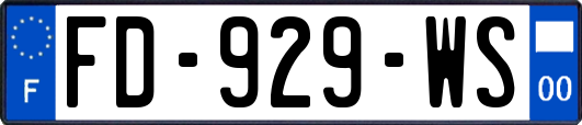 FD-929-WS