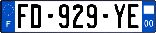 FD-929-YE
