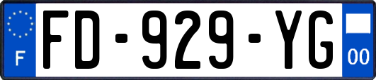 FD-929-YG
