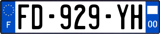 FD-929-YH
