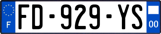 FD-929-YS