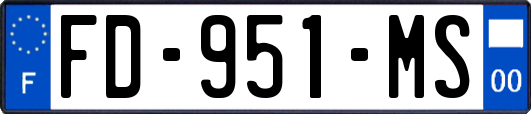 FD-951-MS