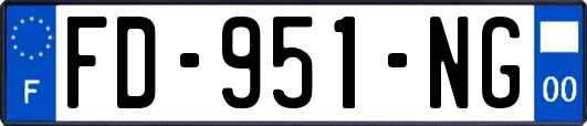 FD-951-NG