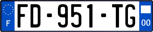 FD-951-TG