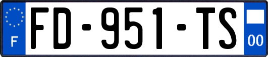 FD-951-TS