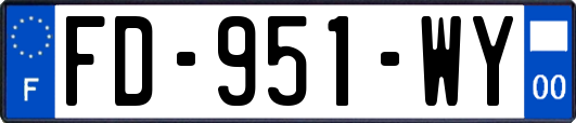 FD-951-WY