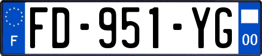 FD-951-YG