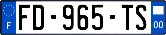 FD-965-TS