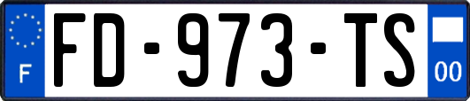 FD-973-TS