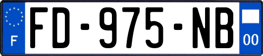 FD-975-NB