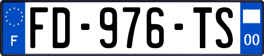 FD-976-TS