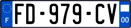 FD-979-CV