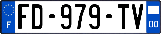FD-979-TV