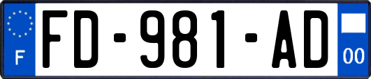 FD-981-AD