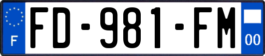 FD-981-FM