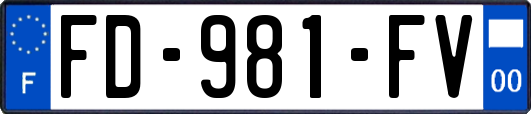 FD-981-FV