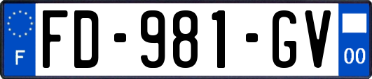 FD-981-GV