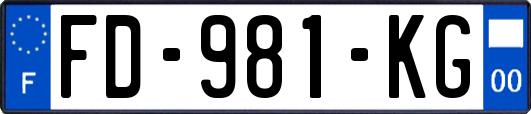 FD-981-KG