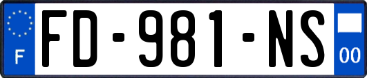 FD-981-NS