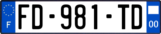 FD-981-TD